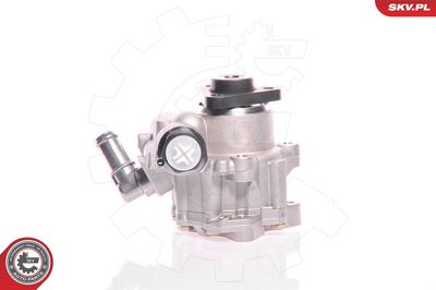 Hydraulic Pump, steering 10SKV161