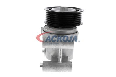 INTINZATOR CUREA CUREA DISTRIBUTIE ACKOJA A320602 24