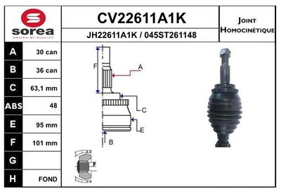 SET ARTICULATIE PLANETARA EAI CV22611A1K