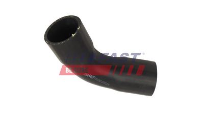 FURTUN EAR SUPRAALIMENTARE FAST FT01262 1