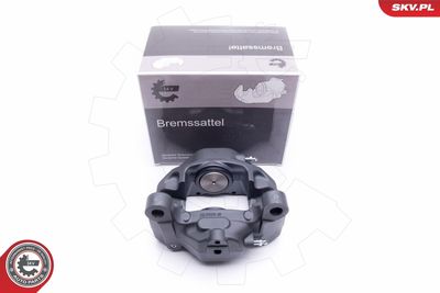 Brake Caliper 42SKV413