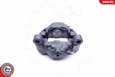 Brake Caliper 42SKV413