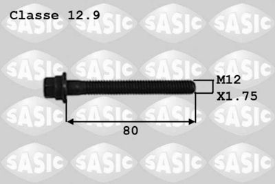 SASIC 8700012 SASIC 8700012