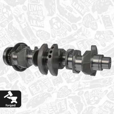 ARBORE COTIT ET ENGINETEAM HK0221 2