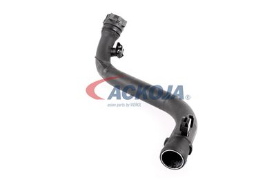 FURTUN EAR SUPRAALIMENTARE ACKOJA A380387 44