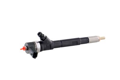 INJECTOR REMANTE 002003001670R 37
