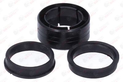 BUCSA ARBORE DE DIRECTIE BIRTH 4144 1