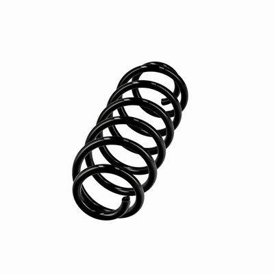 ARC SPIRAL EIBACH R10413 2