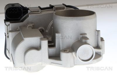 CARCASA CLAPETA TRISCAN 882029036 1