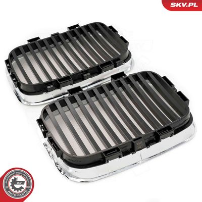 GRILA RADIATOR ESEN SKV 66SKV044 2