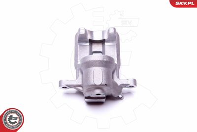 Brake Caliper 45SKV814