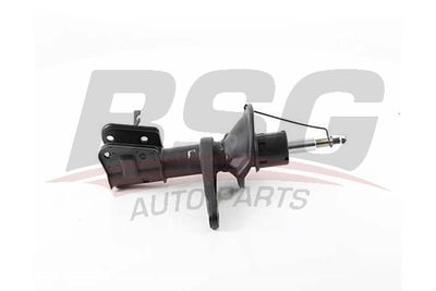 BSG BSG 15-300-049 Амортизаторы  для LAND ROVER FREELANDER I Soft Top (L314) 2.0 DI 4x4