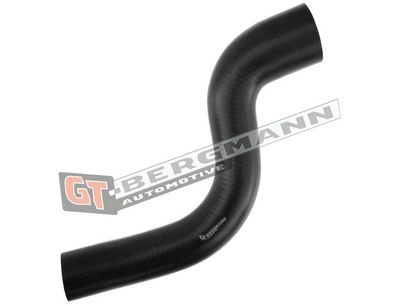 GT-BERGMANN Automotive Kompresoriaus padavimo žarna