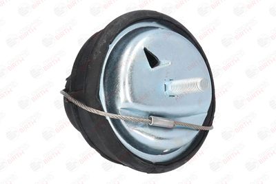 SUPORT MOTOR BIRTH 5956 1