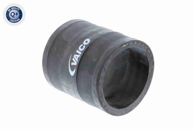 FURTUN EAR SUPRAALIMENTARE VAICO V401366 2