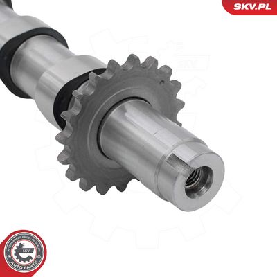 AX CU CAME ESEN SKV 80SKV009 3
