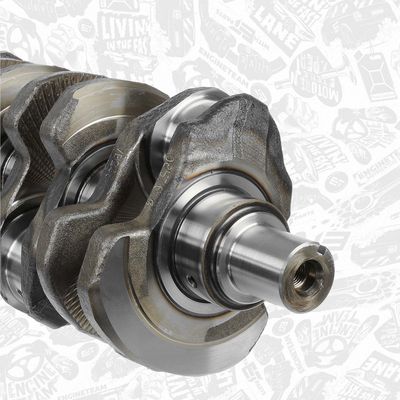 ARBORE COTIT ET ENGINETEAM HK0165 3