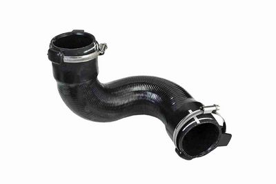 FURTUN EAR SUPRAALIMENTARE