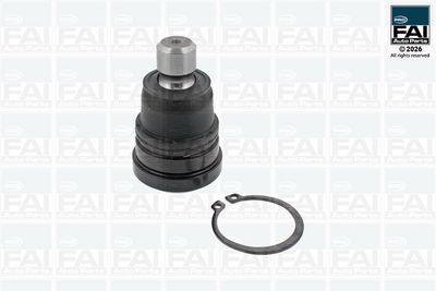 Шарнири FAI AutoParts FPBJ0055