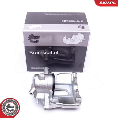 Jarrusatula ESEN SKV 42SKV961 – RENAULT