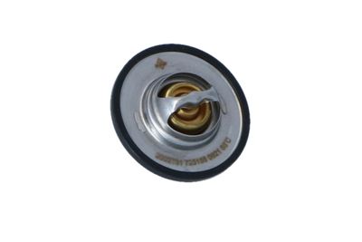 TERMOSTAT LICHID RACIRE NRF 725156 44