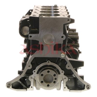 MOTOR EXCLUZAND ACCESORIILE ASHIKA MI005F 2