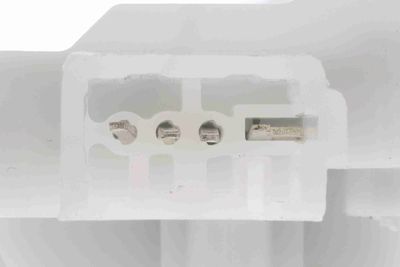 INCUIETOARE HAION ACKOJA A26850028 2