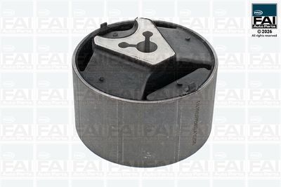 FAI AutoParts Variklio montavimas