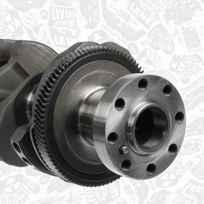 ARBORE COTIT ET ENGINETEAM HK0220 3