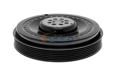 FULIE CUREA ARBORE COTIT VAICO V101492 44