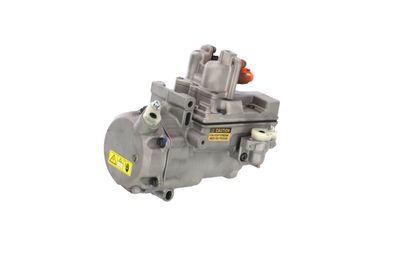 COMPRESOR CLIMATIZARE REMANTE 005001000330R 11
