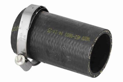 FURTUN EAR SUPRAALIMENTARE ACKOJA A520883 2