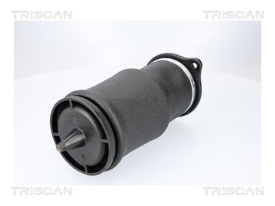 ARC PNEUMATIC DIRECTIE TRISCAN 872023210