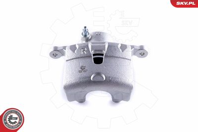 Brake Caliper 55SKV272