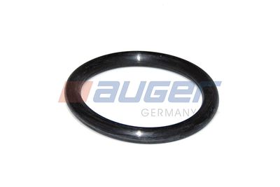 Garnitura, chiulasa AUGER 74818