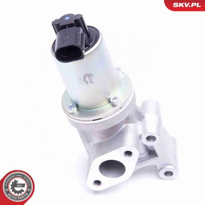 SUPAPA EGR ESEN SKV 14SKV213 4