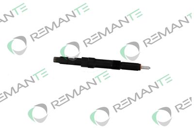 INJECTOR REMANTE 002003000113R 3