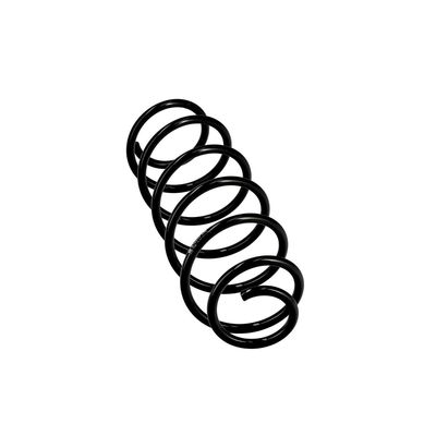 ARC SPIRAL EIBACH R10034 24