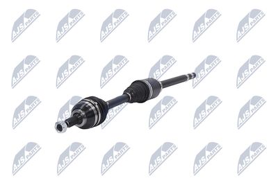 PLANETARA NTY NPWCT026 19