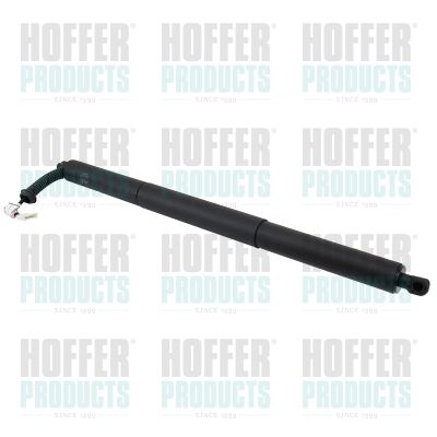 Газовая пружина, раздвижной пол (багажный/грузовой отсек) HOFFER H301079 для BMW X1