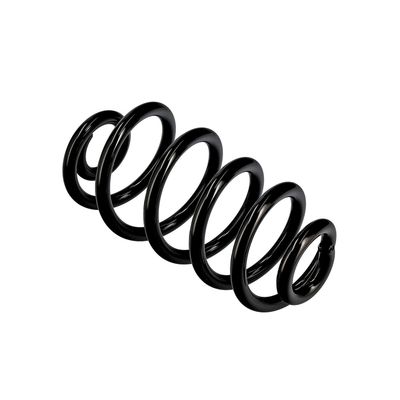 ARC SPIRAL EIBACH R10114 22