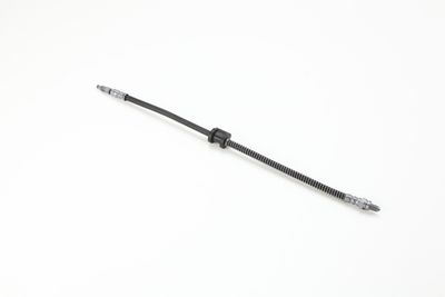 FURTUN FRANA ATE 24530804713 10