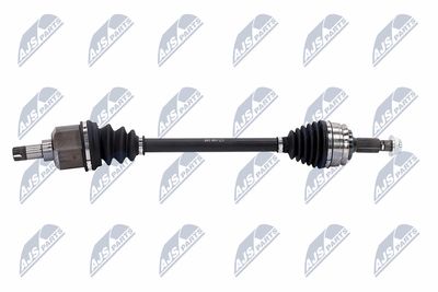 PLANETARA NTY NPWCT146 6