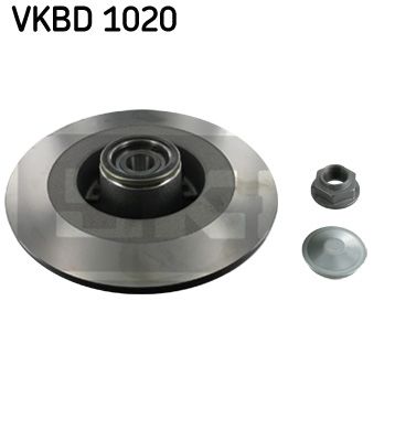 SKF VKBD 1020 Гальмівні диски 