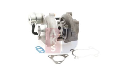 LADER AUFLADUNG AKS DASIS 095012N 3