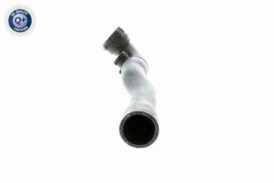 FURTUN RADIATOR VAICO V201925 3