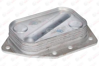 RADIATOR ULEI ULEI MOTOR BIRTH 80786 6