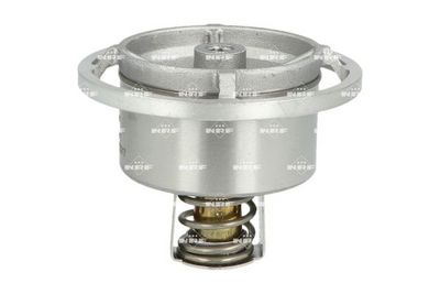 TERMOSTAT LICHID RACIRE NRF 725017 1