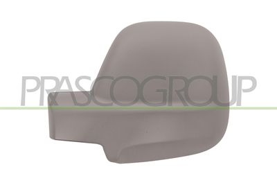 ACOPERIRE OGLINDA EXTERIOARA