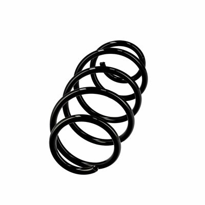 ARC SPIRAL EIBACH R10569 2